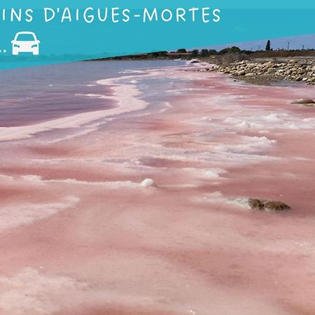 Apartament Le Flamant Rose - Cosykaz Aigues-Mortes Zewnętrze zdjęcie