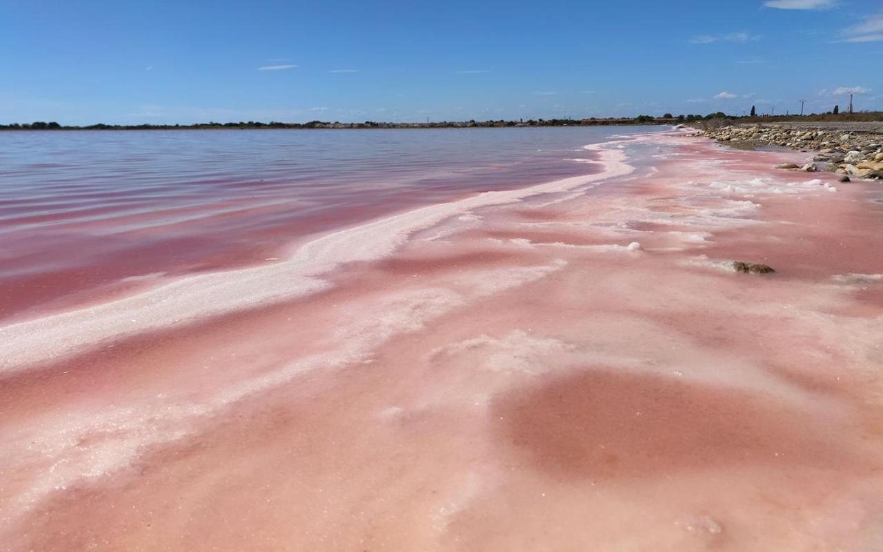 Apartament Le Flamant Rose - Cosykaz Aigues-Mortes Zewnętrze zdjęcie